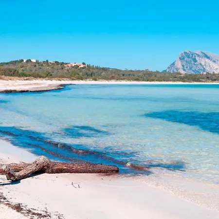 Apartament Pool In The Hills - Sea 10 Min - Bbq - Quiet San Teodoro (Sardinia)
